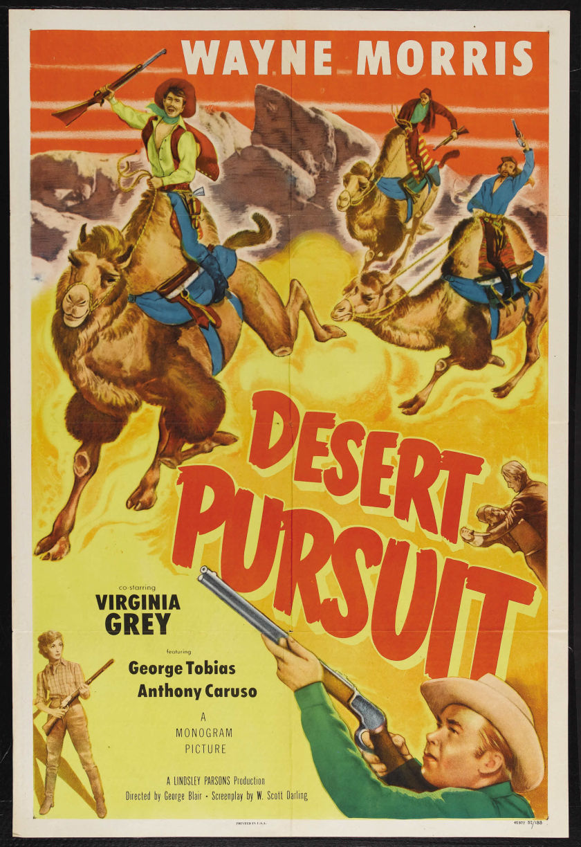 DESERT PURSUIT